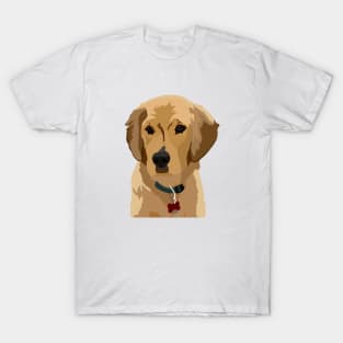 Beau the Golden Retriever T-Shirt